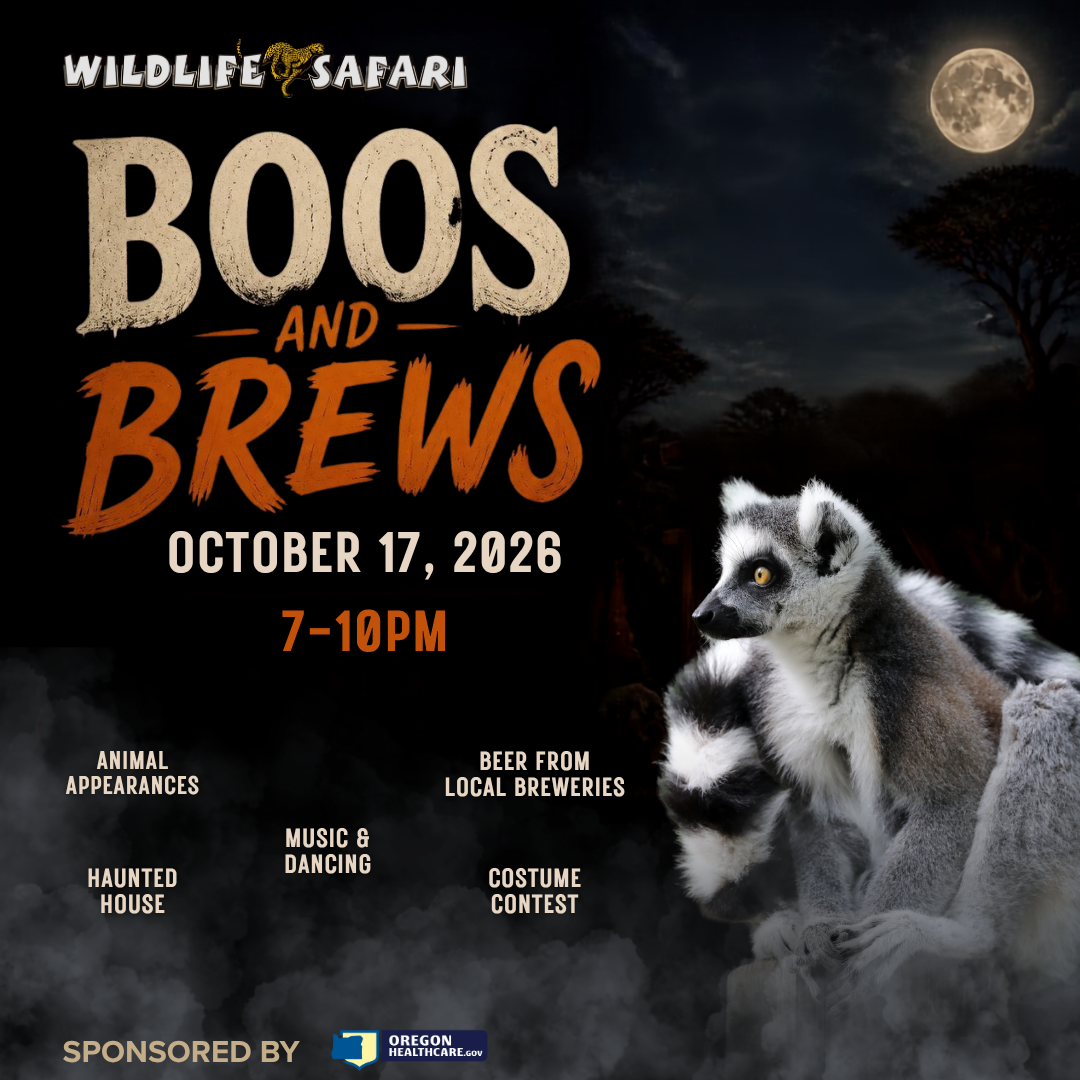 Boos & Brews