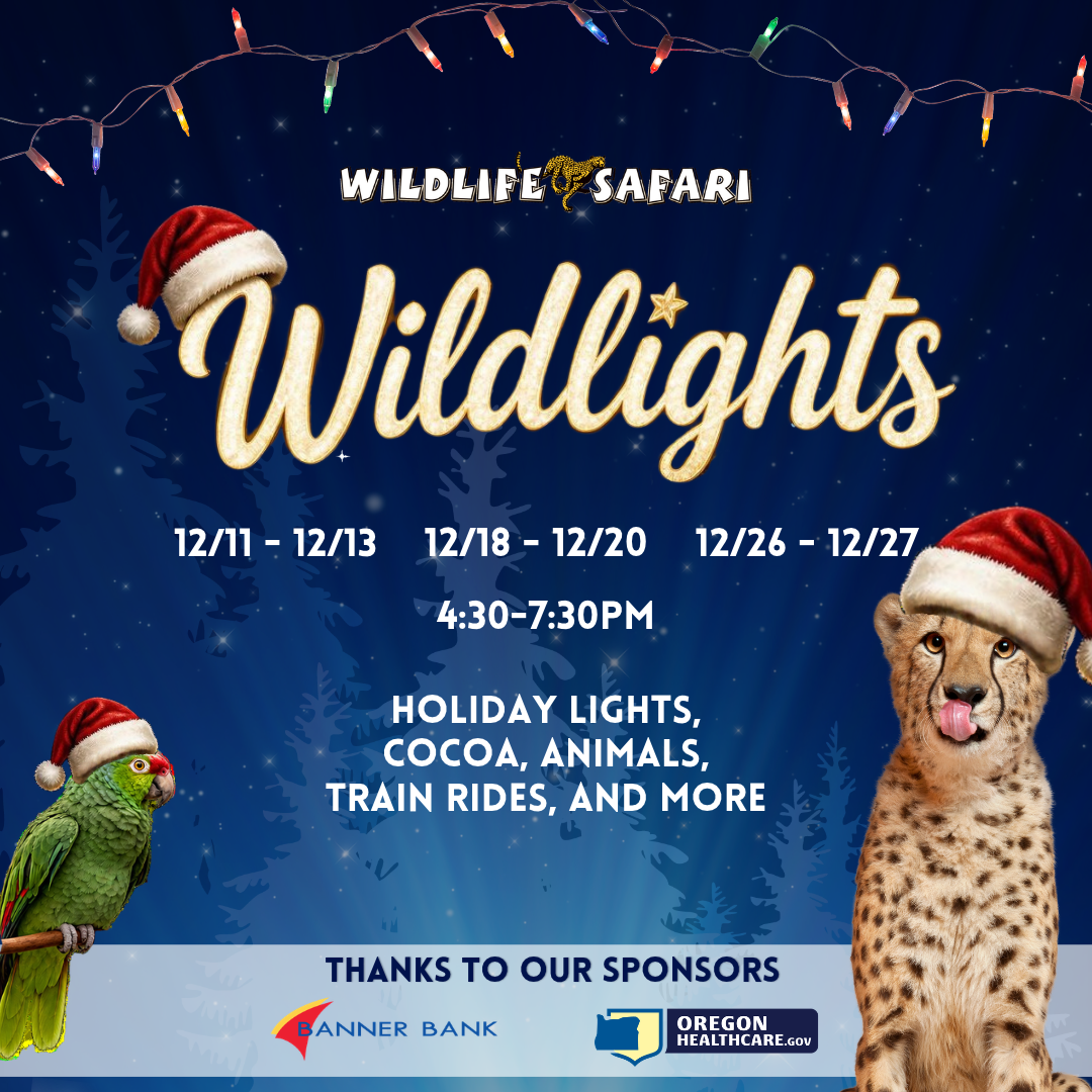 Wildlights