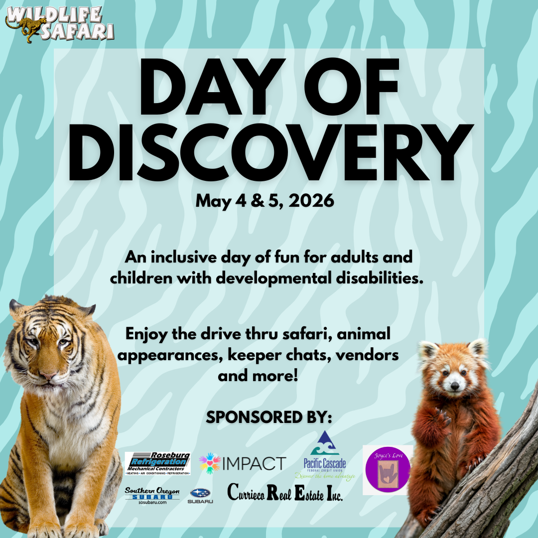 Day of Discovery