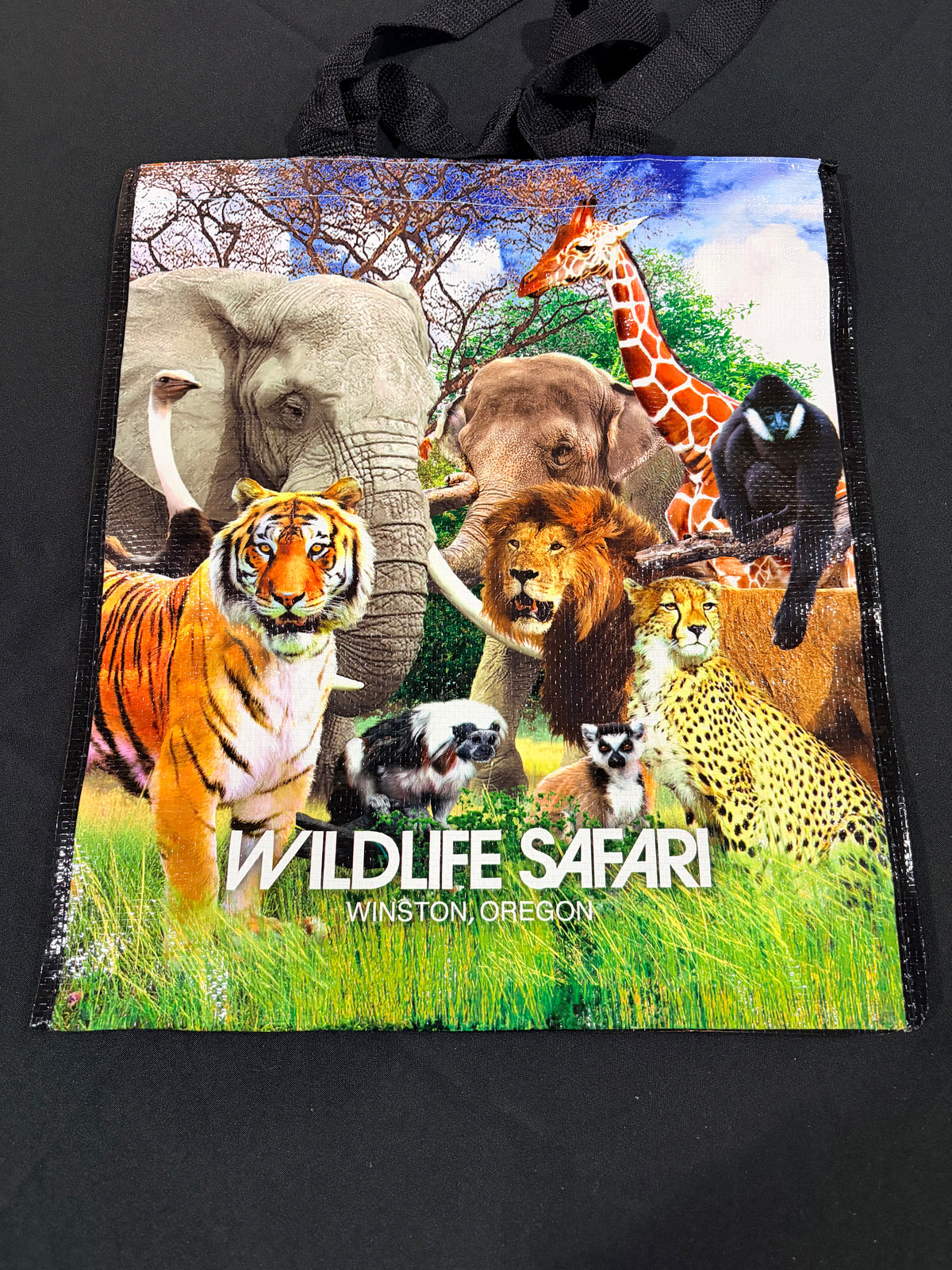 Reusable Shopping Bag