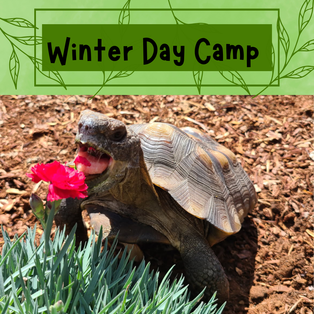 Fall/Winter Camp - Adventure