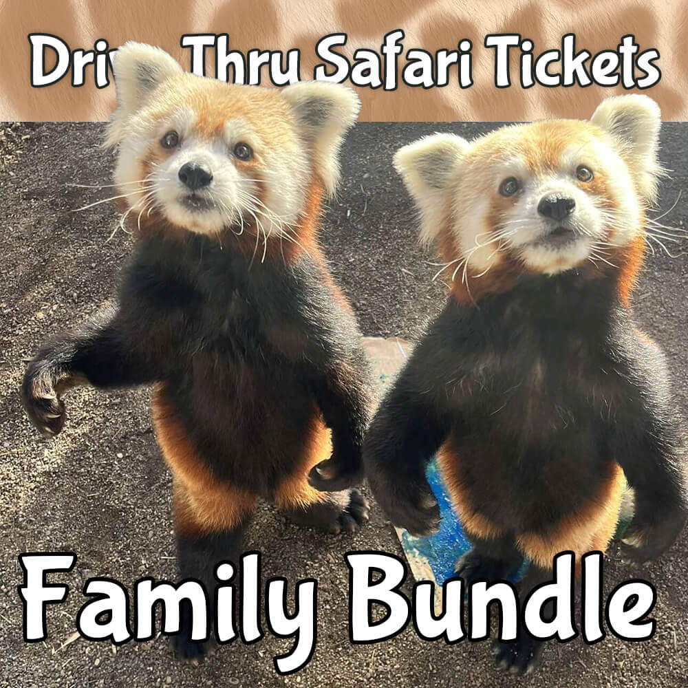 Drive Thru Safari Family Bundle