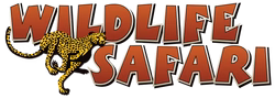 Wildlife Safari