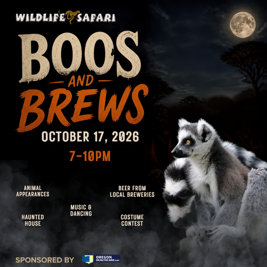 Boos & Brews