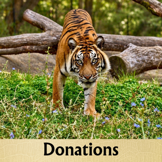 Donations