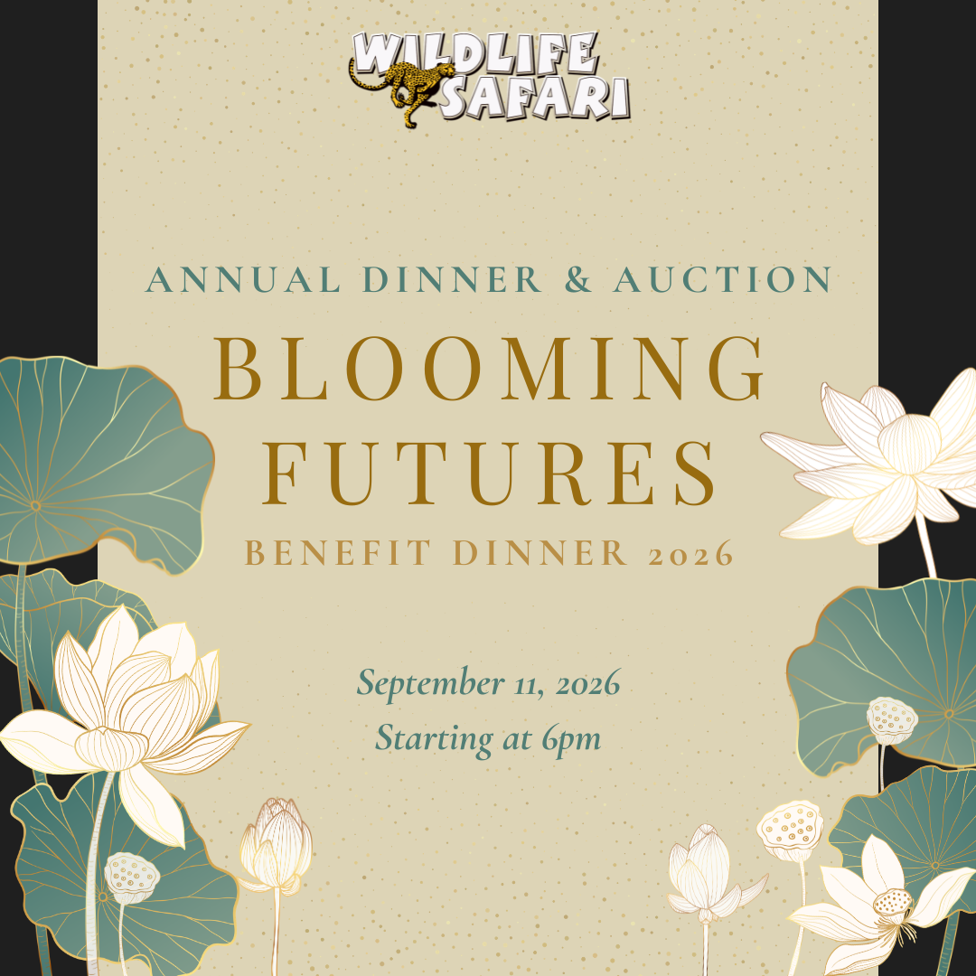 Blooming Futures Benefit Dinner