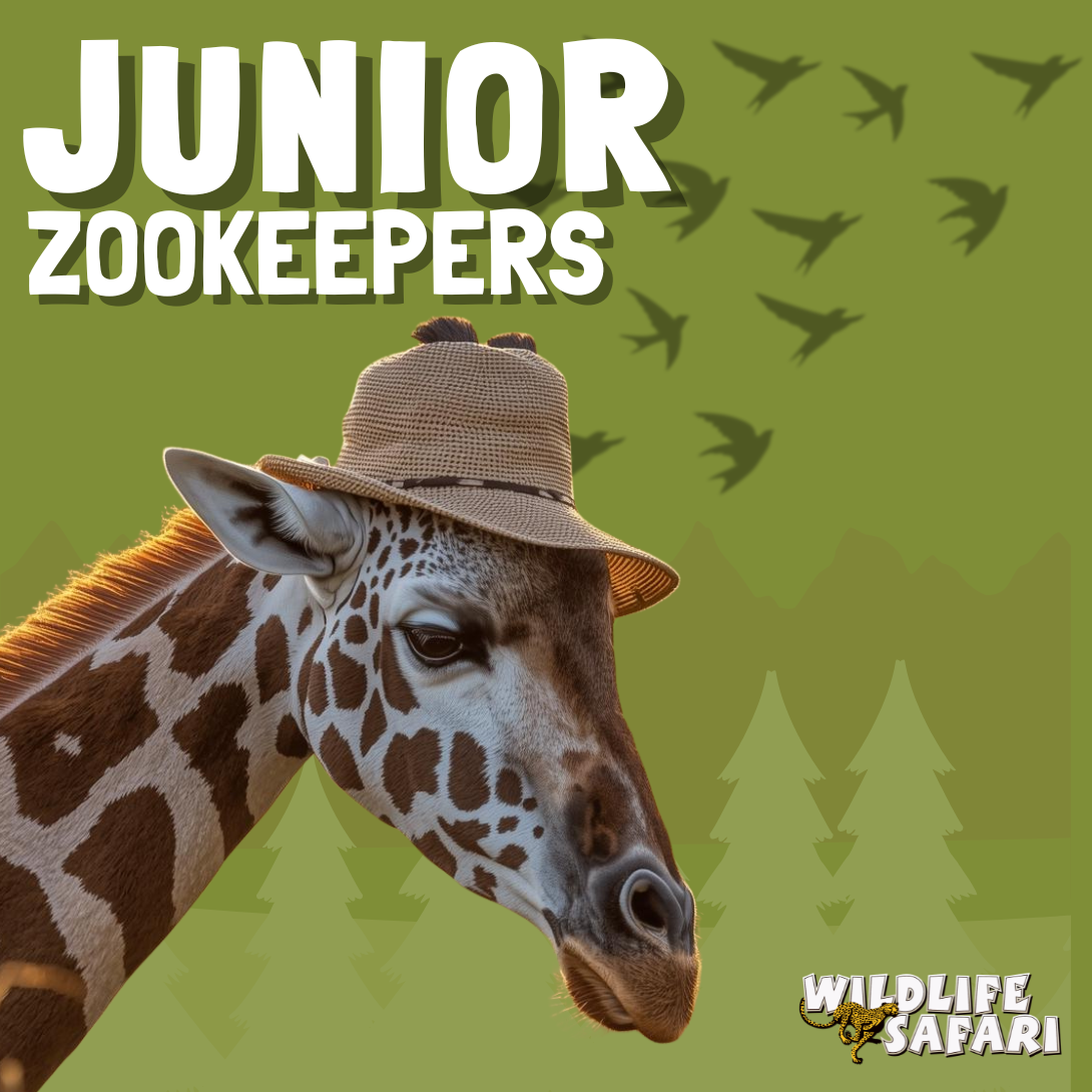 Junior Zookeepers