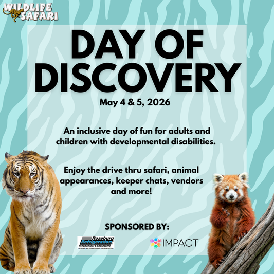 Day of Discovery