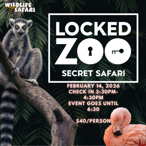 Locked Zoo: Secret Safari