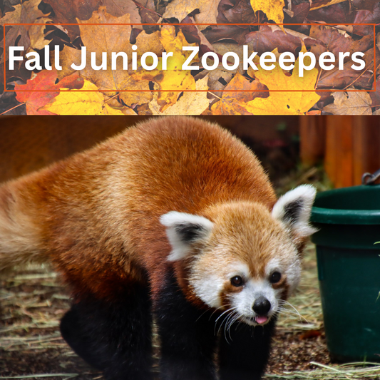 Fall Junior Zookeepers