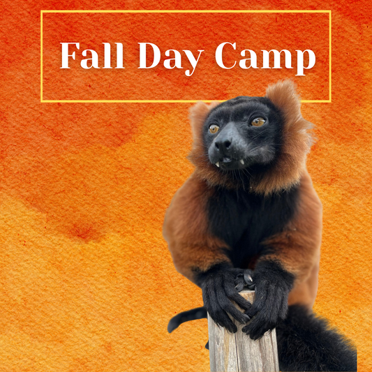 Fall/Winter Camp - Explore