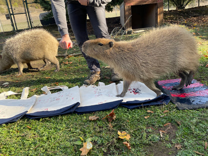 Conservation Tote - Capybara