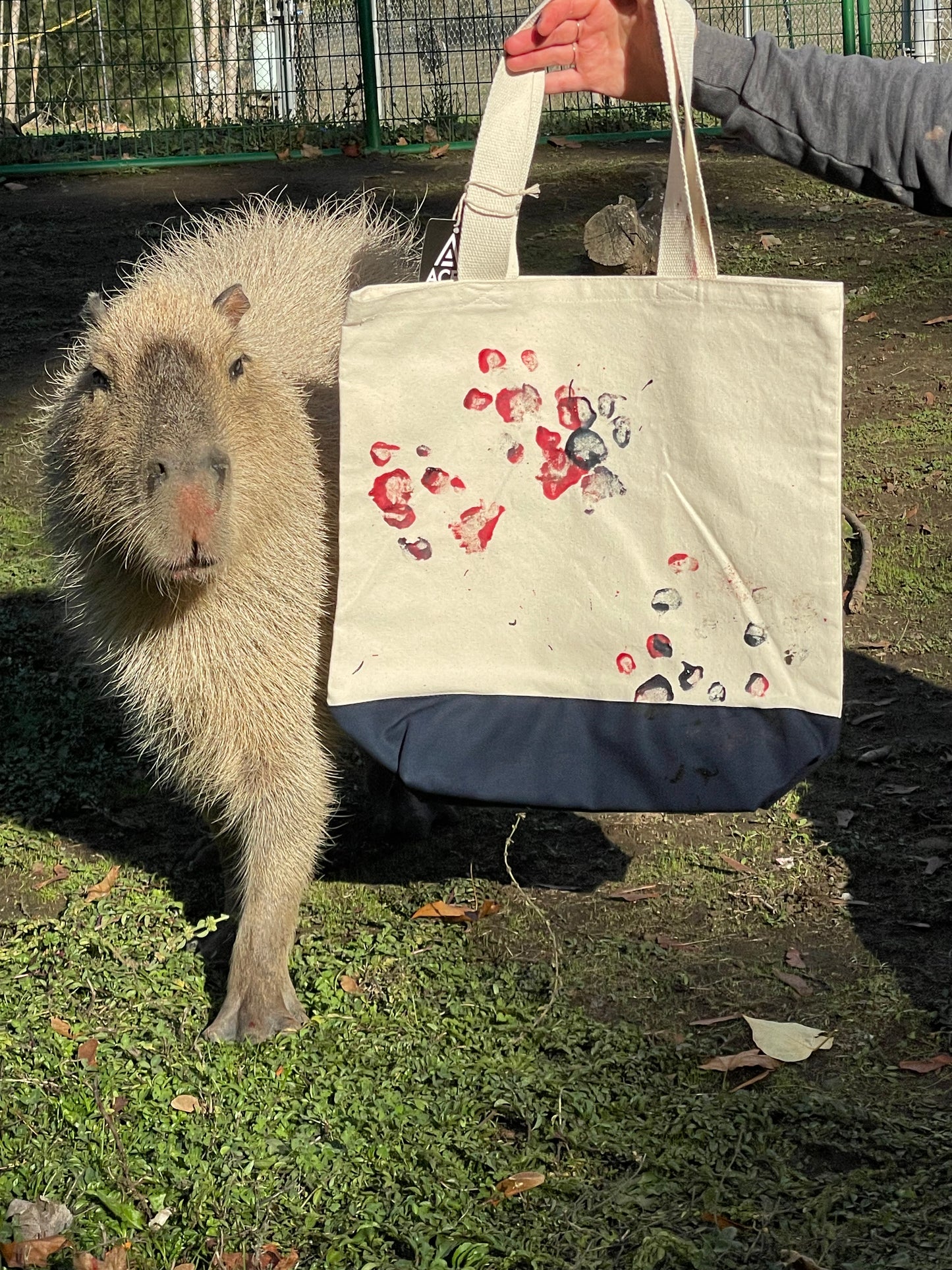 Conservation Tote - Capybara