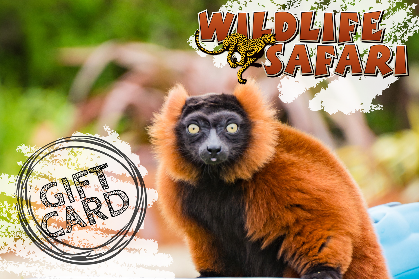 Wildlife Safari Gift Card