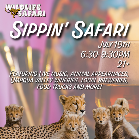 Sippin' Safari