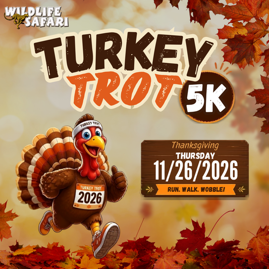 Turkey Trot